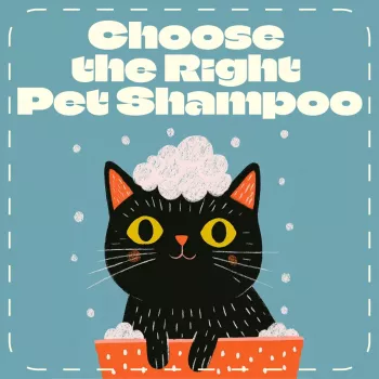 Pet Shampoo Guide: Choose Safe Dog & Cat Formulas